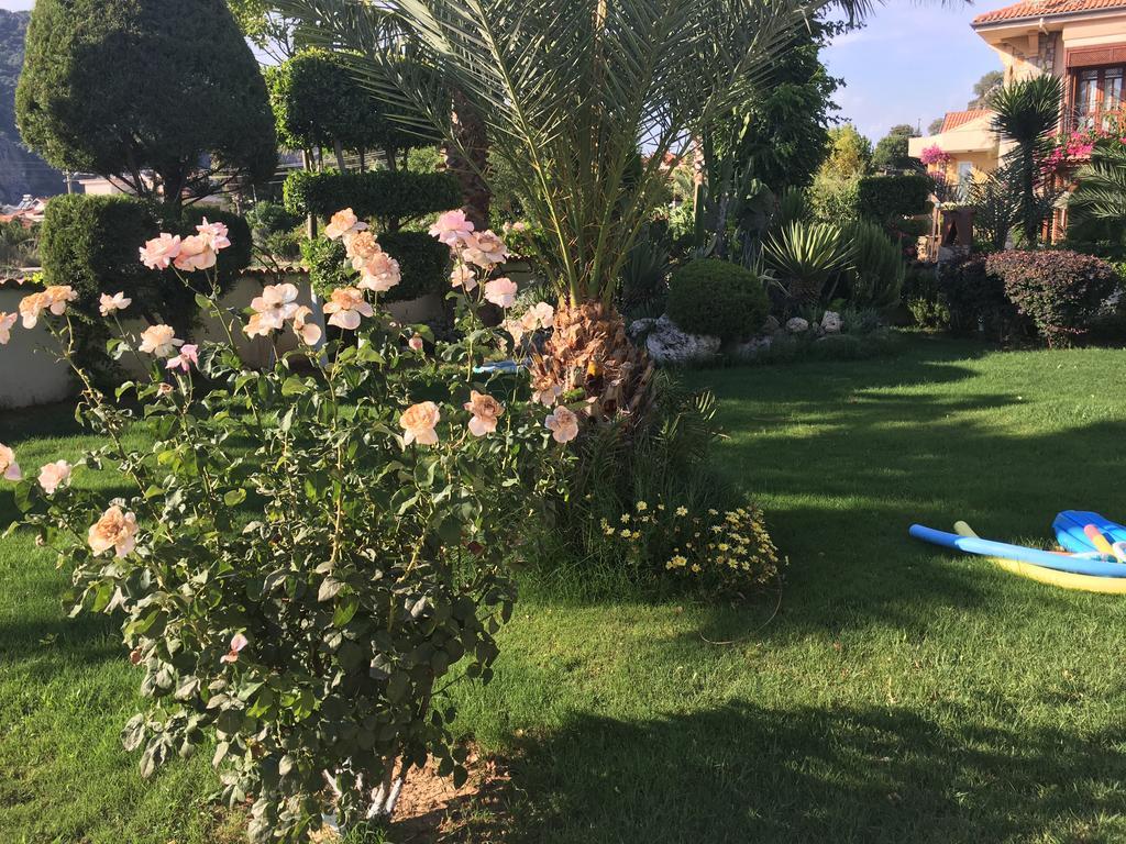 Asur Hotel & Aparts & Villas Далян Екстериор снимка